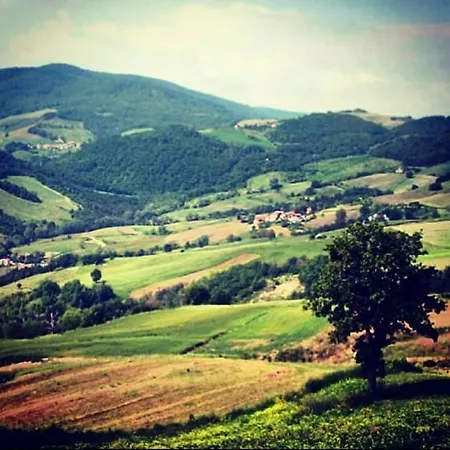C'era Una Volta A Casa Rustica Alpstuga Piozzano